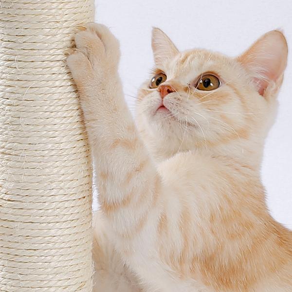 Indoor Cat Soft Scratching Board And Interactive Ball Track Toy Cat Rest And Grooming Supplies — image 9