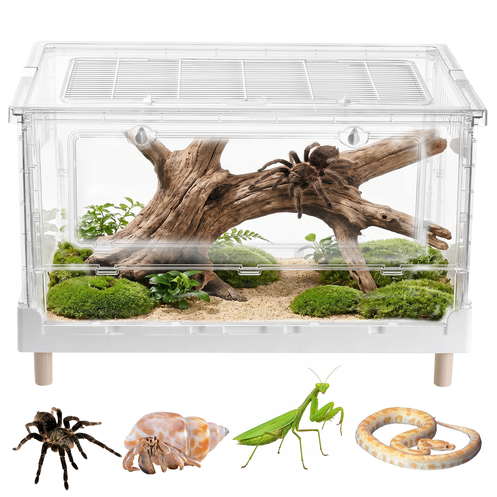 Terrario de Acrílico para Reptiles con Puerta de Apertura Frontal, Jaula Hábitat Plegable con Caja de Ventilación Transparente, Recinto Portátil de Fácil Acceso, Ideal para Reptiles, Anfibios, Arácnidos, Tortugas, Ranas y Hámsteres — imagen 1