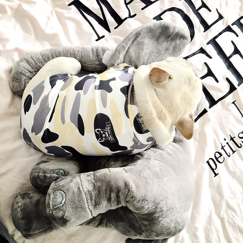 Dog Clothes for Small Dogs French Bulldog Vest Summer Pet Clothing for Chihuahua Petite Dog Clothes Puppy Apparel XS-XL — image 1