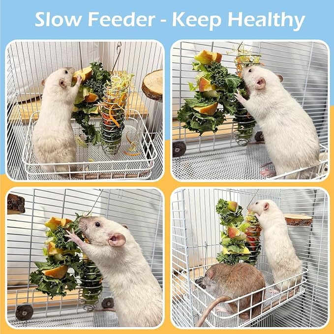 2-Piece Rat Enrichment Toys, Stainless Steel Fruit And Vegetable Holder For Small Animals — image 5