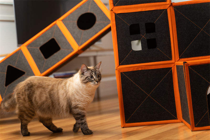 Cardboard Cat House Scratcher Breathable Pet Foldable Cat Toys And House For Cats — image 8