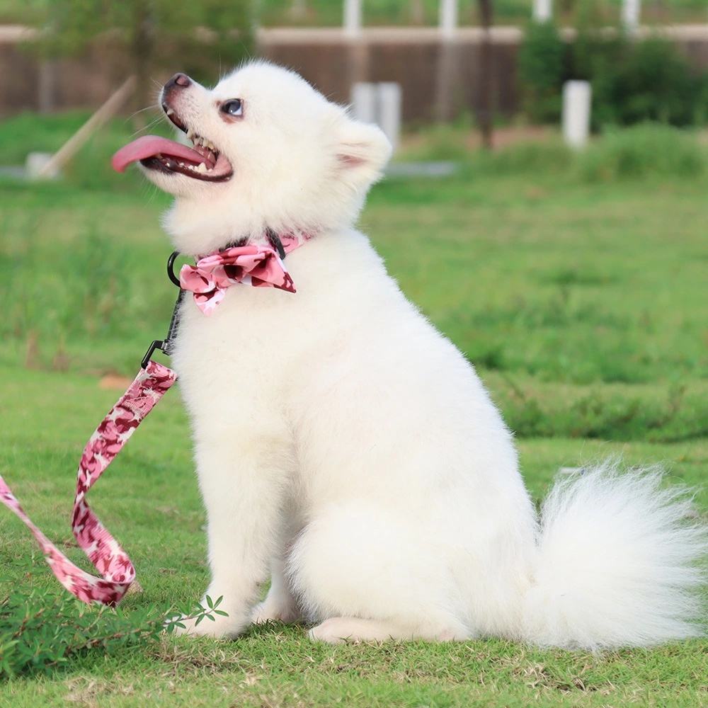 Cinturón de Trazo para Perros con Camuflaje Impreso, Correa en el Pecho — imagen 6