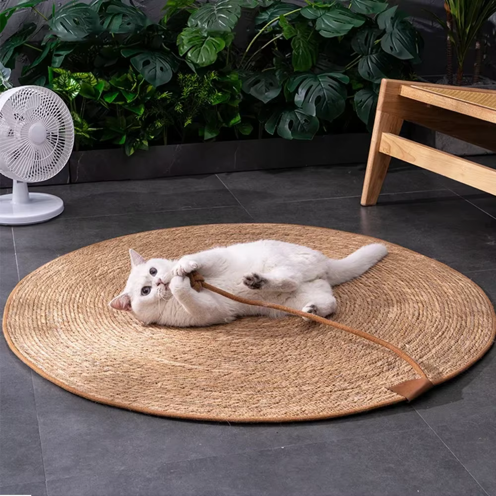 Pulido para Gatos con Madera de Caña: Tablero y Plataforma para Raspar Uñas, Protección para Sofás y Muebles — imagen 5