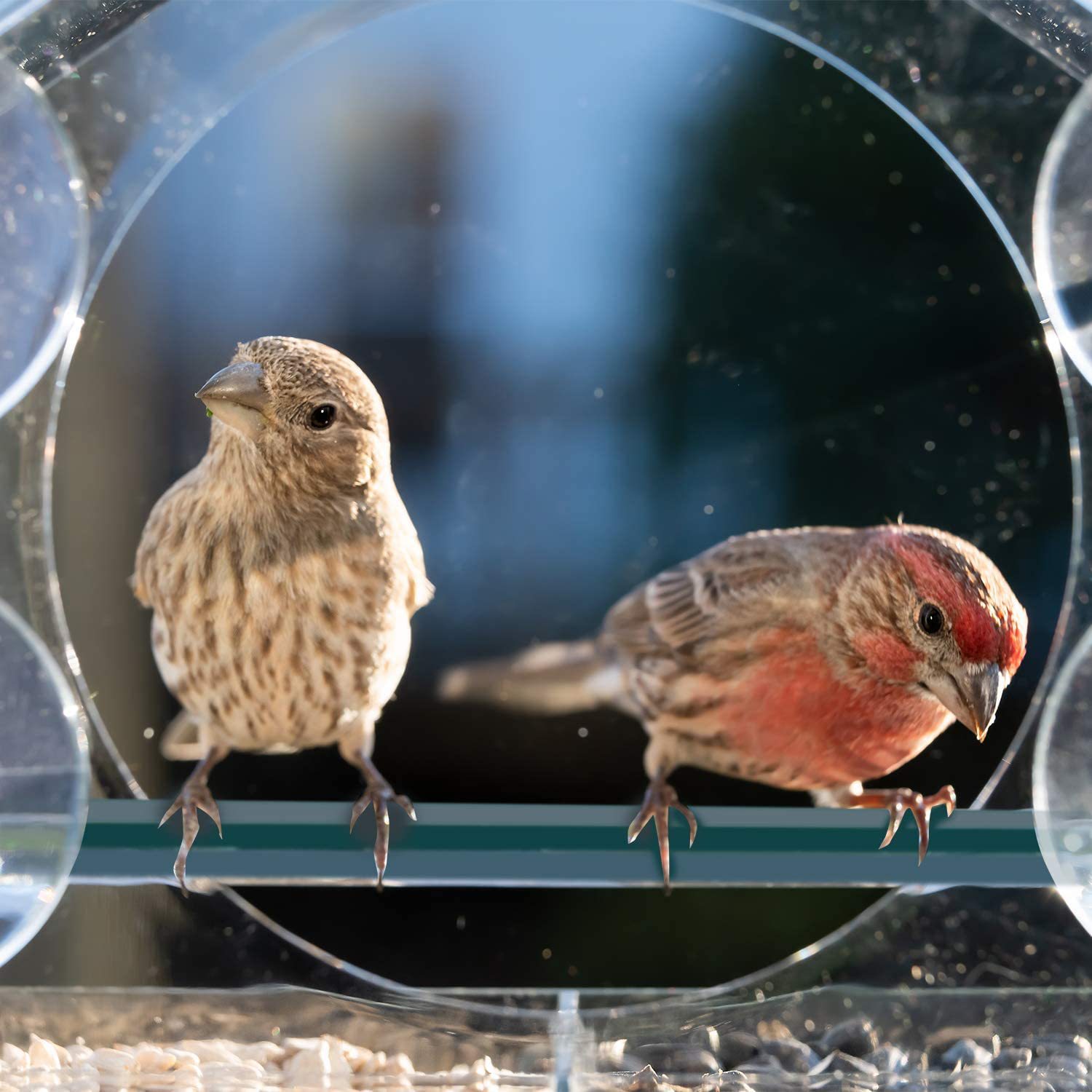House-shaped Plastic Acrylic Bird Feeder, Acrylic Pet Bird Feeding Container — image 3