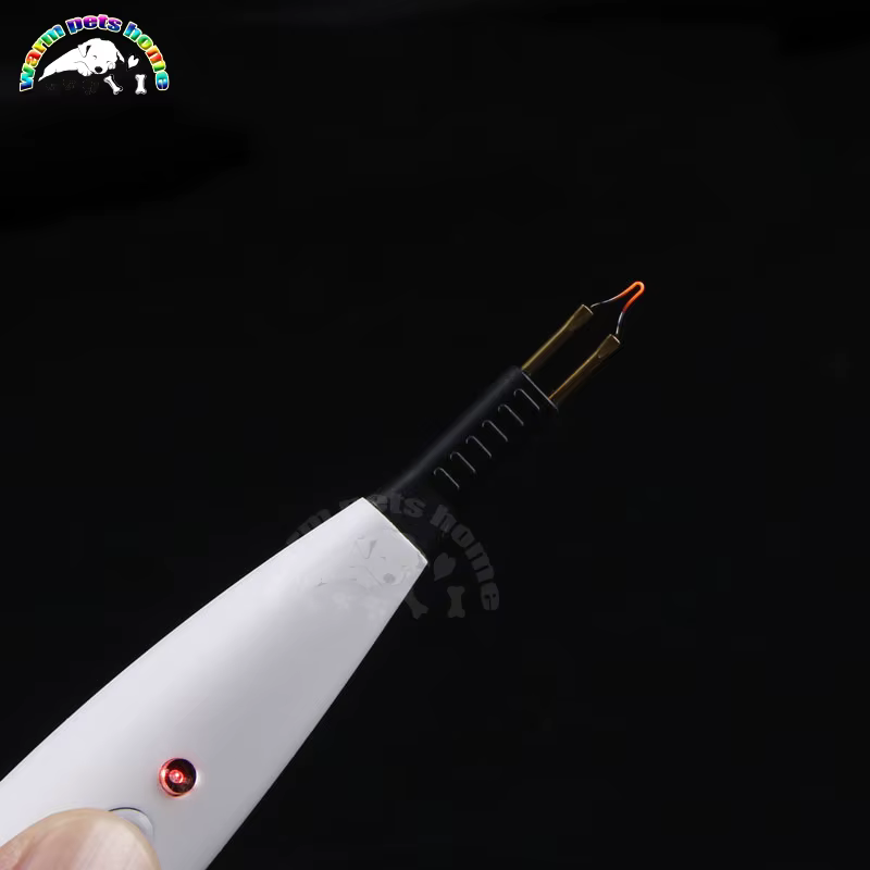 Electrocoagulation Pen Hemostatic Device Cautery Pen Gutta Cutter Ophthalmic Instrument Veterinary Equipment — image 5