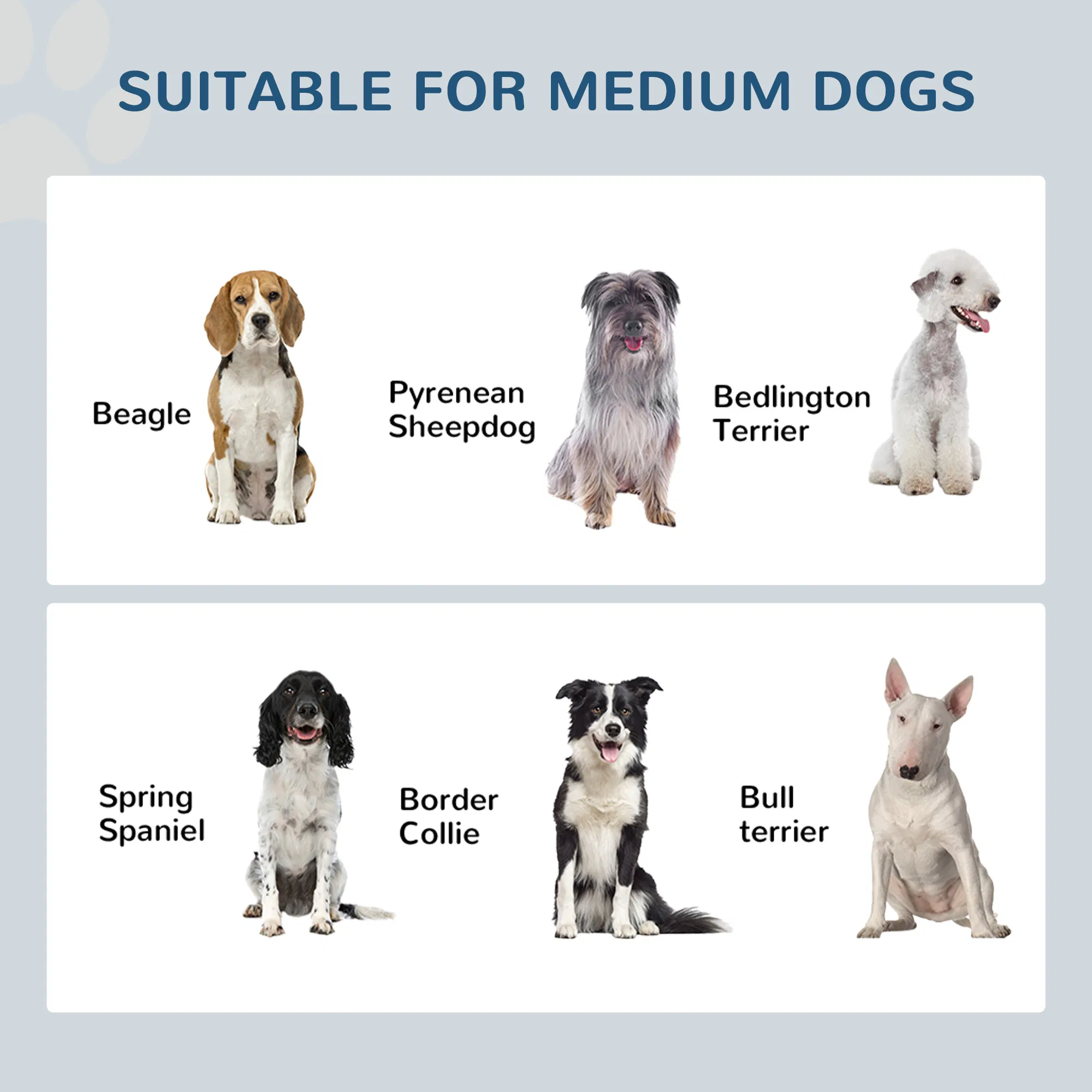 Elevated Dog Bowl — image 5
