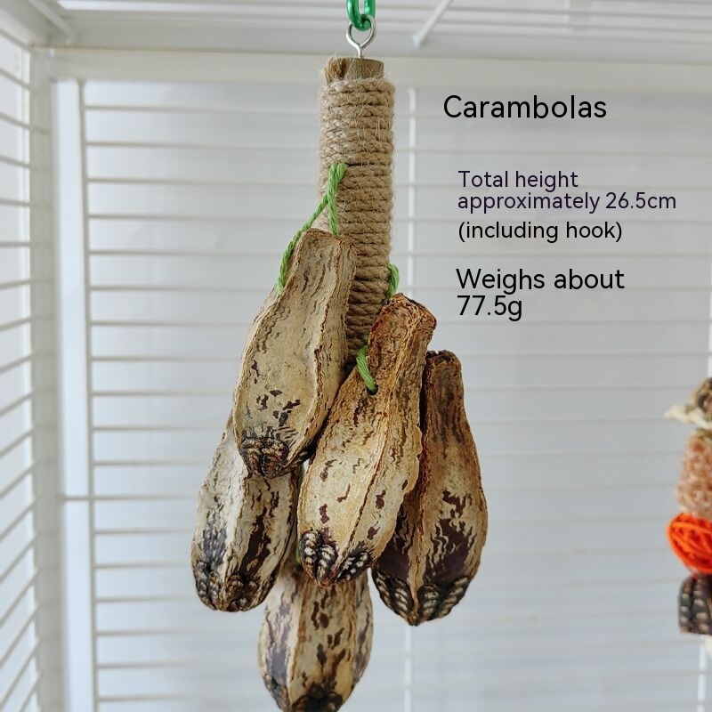 Juguetes para Loros Suministros de Mordida Piezas para Volateros — imagen 19