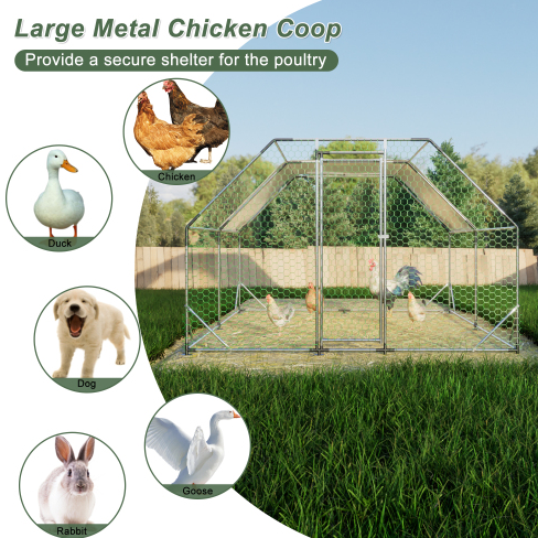 Gallinero Grande de Metal Galvanizado de 10 x 13 Pies, Jaula Transitable, Corral para Aves de Corral, Conejera, Casa para Gallinas — imagen 6