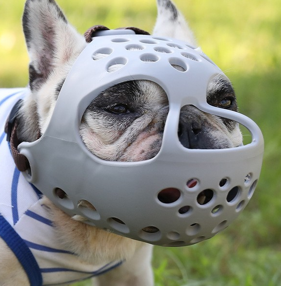 Mascota Humilde: Mordaza de Goma Suave para Perros con Boca Corta - Para Bull Terrier, Bulldog Inglés, Bulldog Francés, Pug - Prevención de Morder y Comer Al Azar — imagen 5