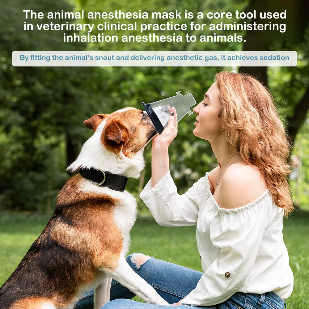 Animal Anesthesia Mask Medical Grade PVC Transparent Dome With Silicone Protective Film Fixing Ring For Pet Veterinary Equipment — image 3