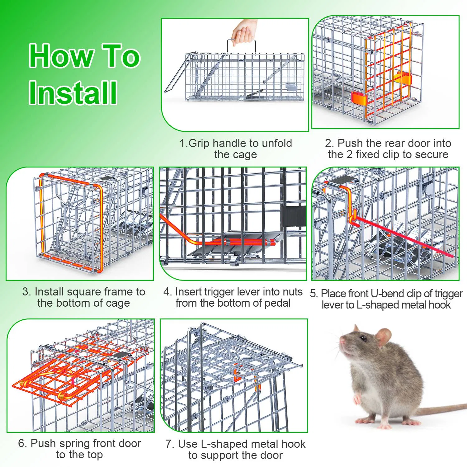2-Pack Humane Mouse Traps – Instant-Lock One-Way Door, 2 mm Galvanized Metal, Safe for Kids & Pets, Indoor/Outdoor Reusable Catcher, Easy-Set & Release — image 7