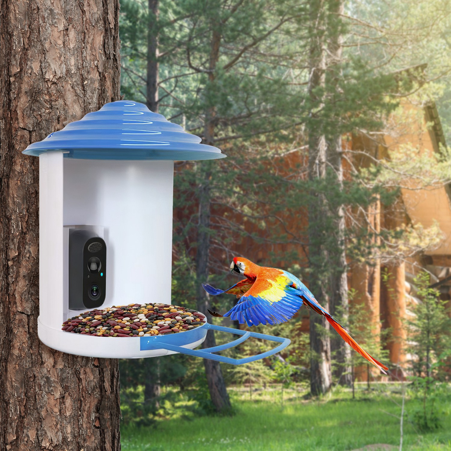 Alimentador Inteligente de Pájaros con Cámara Solar 1080p HD Reconocimiento AI de Pájaros Función de Movimiento Automático Grabación de Video Almacenamiento en la Nube Tarjeta WiFi Conexión App Control IP65 Resista a la Lluvia — imagen 7