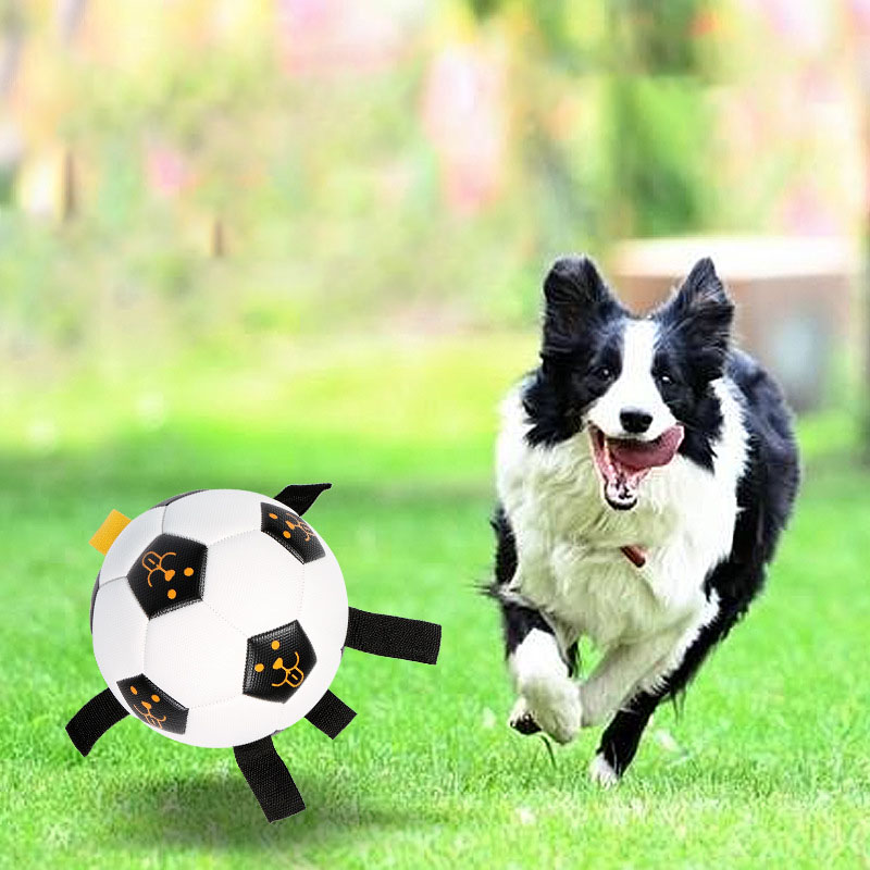 Pet Ball Toy Outdoor Interactive Football Dog Training Ball Multifunctional Rope Biting Dog Ball Dog Toy — image 2