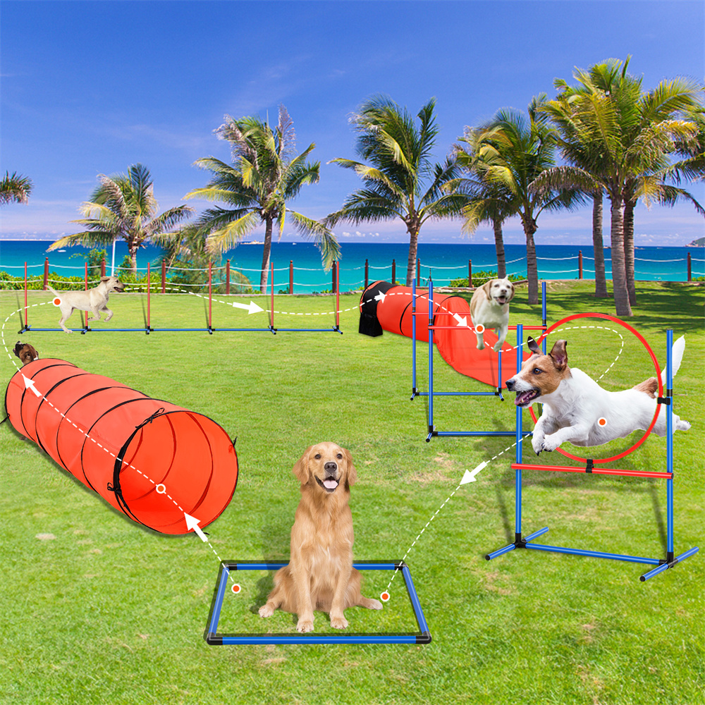 Equipo de Entrenamiento de Agilidad para Perros 7 Piezas Actualizado con Obstáculos, Dos Túneles y Aro — imagen 1
