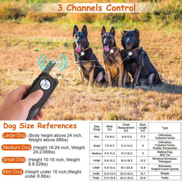 Collar de Adiestramiento para Perros IP65 Resistente al Agua, 3 Canales, Grabaciones y Bloqueo con Teclado Seguro — imagen 5