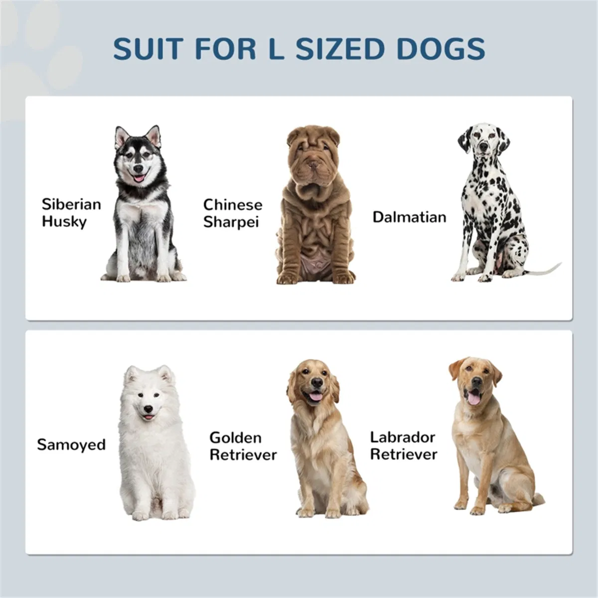 Dog Food Storage Cabinet — image 4
