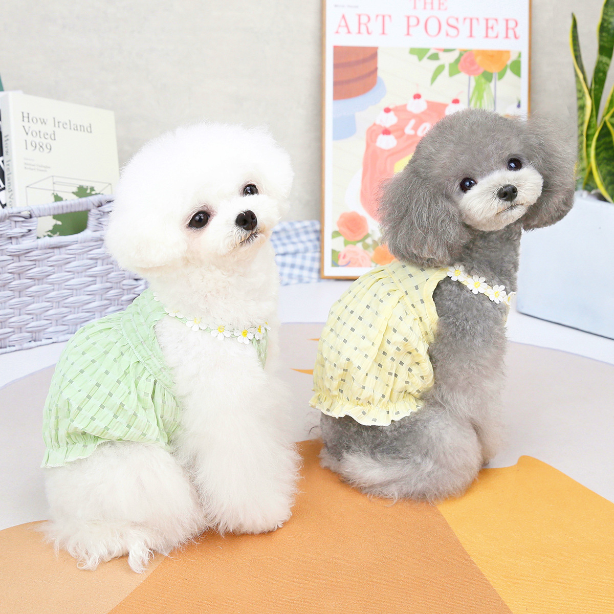 Ropa para Mascotas de Primavera y Verano - Ropa para Perros Pequeños - Vestimenta para Animales Domésticos — imagen 4