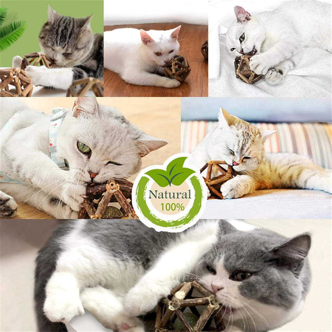 Pelota de Ciprés Plateado con Hierba del Gato Natural - Juguetes para Gatos Domésticos - Herramientas para Limpiar Dientes y Muelas — imagen 6