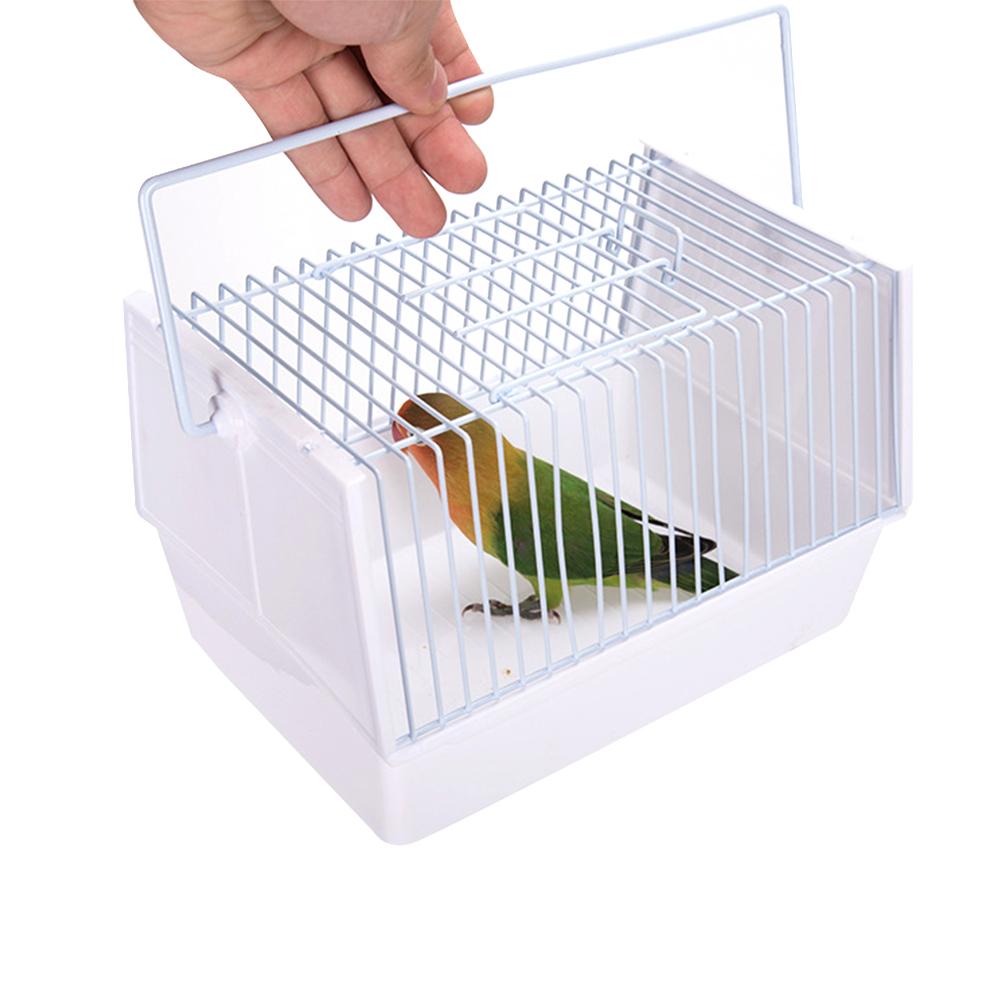 Out of the bird cage — image 6