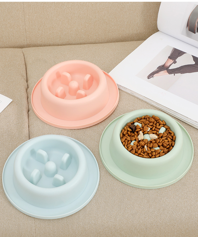 Cat and Dog Shared Pet Slow Food Slow Food Bowl — image 3