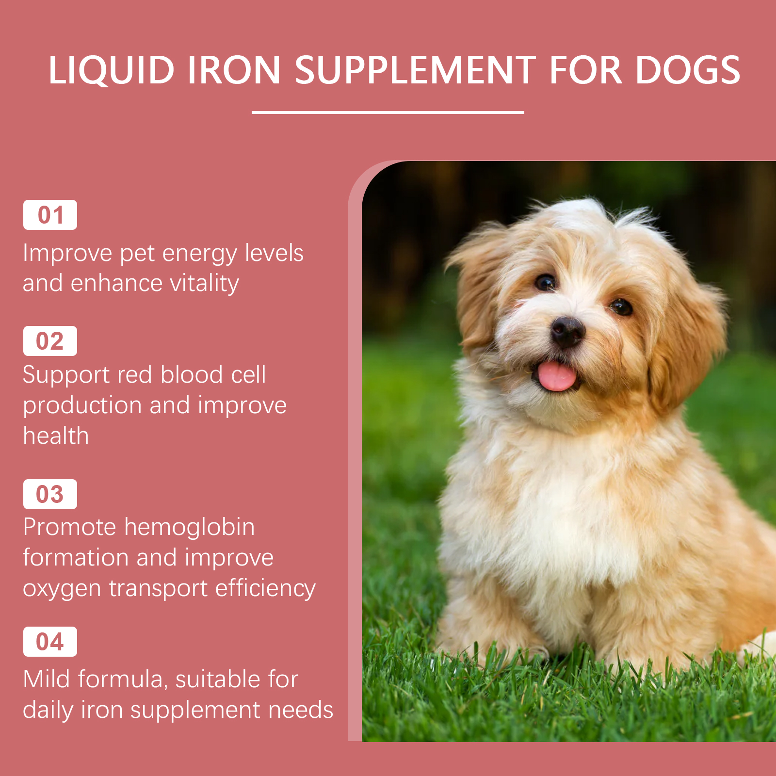 Pet Dog Syrup Pampers Pet Dogs With Gentle Ingredients To Help Absorb Care Supplements — image 3