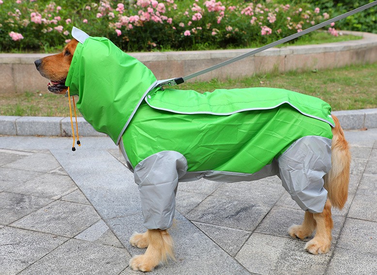 Chaquetón de agua para perros, procesamiento de ropa para mascotas, chaqueta grande para cuatro patas con pelaje dorado — imagen 7