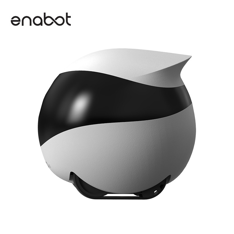 Enabot Whole House Mobile Camera Wireless Monitor Ebo Robot Home Smart Walking Electronic Pet — image 3