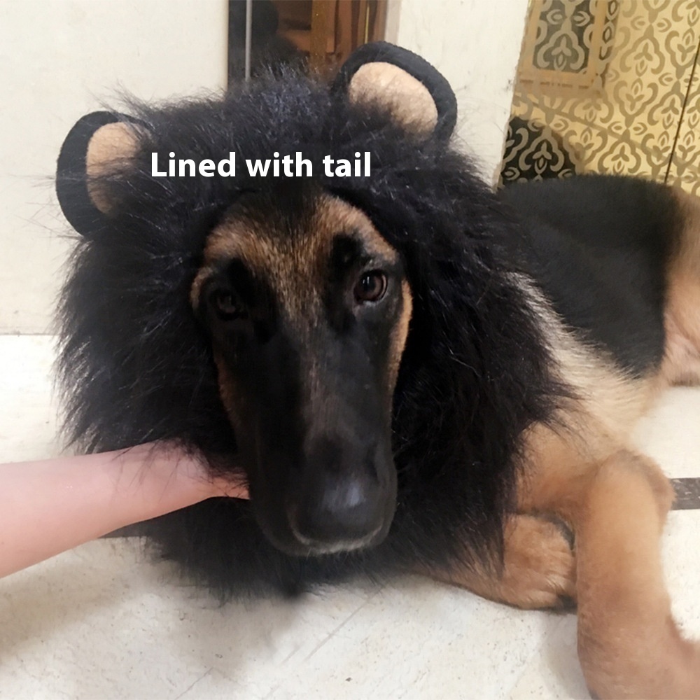 King Of The Jungle Pet Funny Lion Head Cover — image 1