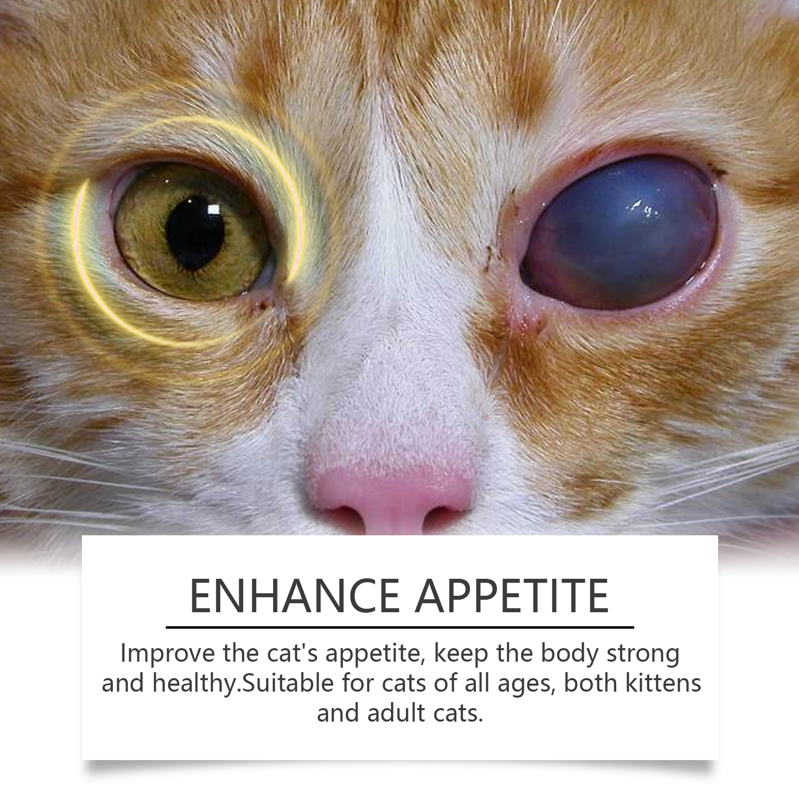 Compound Taurine Tablets For Cats Nutritional Supplement Multi-Dimensional Taurine Tablets For Cats — image 5
