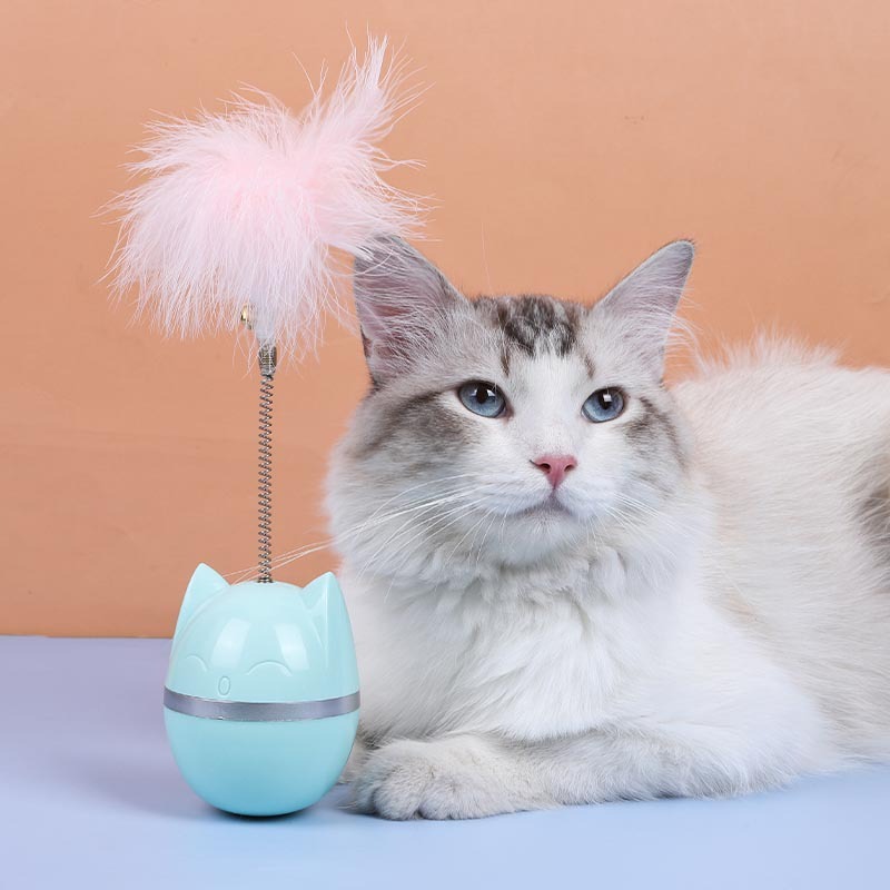 Juguetes de gato de dibujos animados, huevos de gato, juguetes de tumbler, juguetes con voz y juguetes de gato de dibujos animados — imagen 1