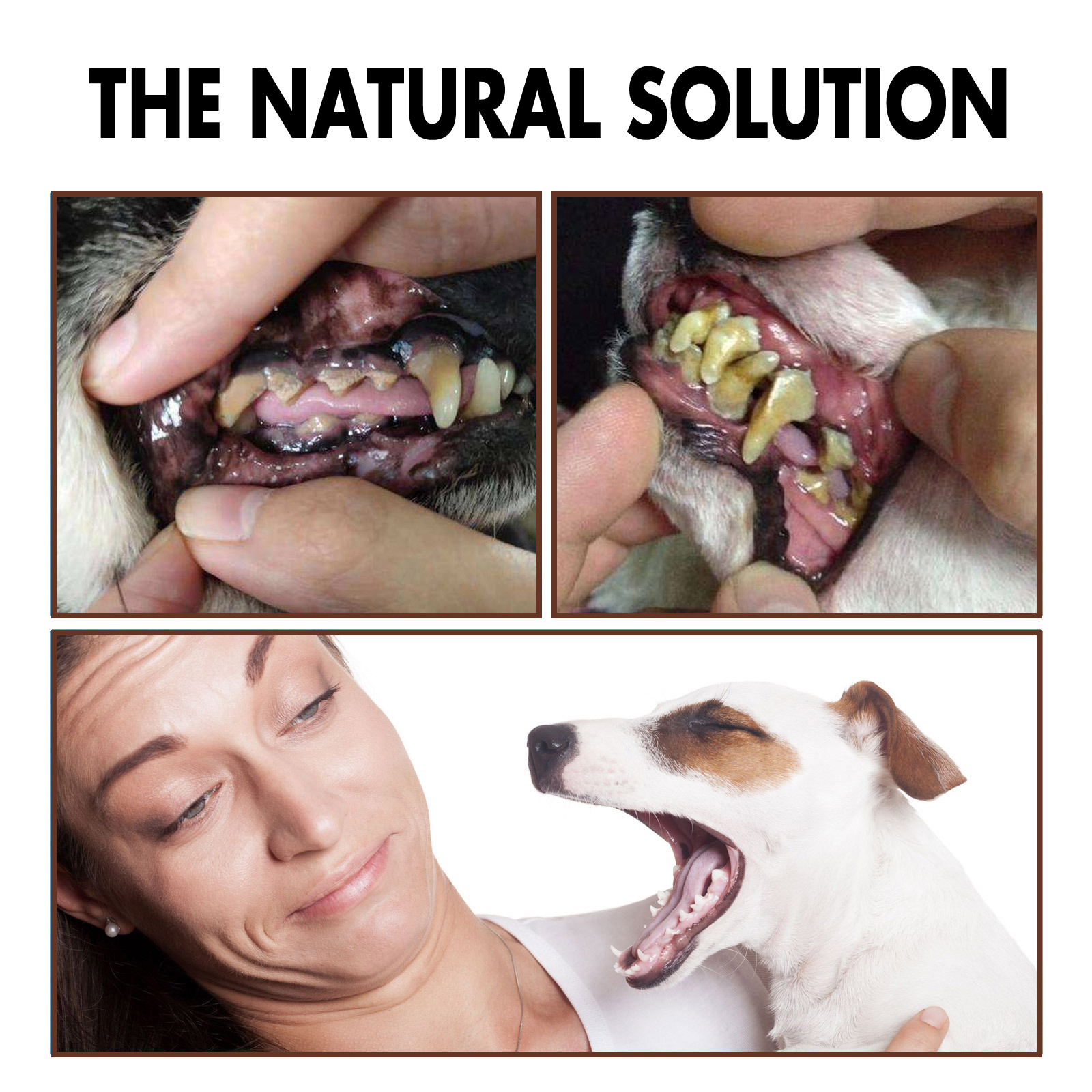 Yegbong Pet Tooth Cleaning Spray, Cats And Dogs Removal Tartar Stains Bad Breath Oral Cleaning Spray — image 6