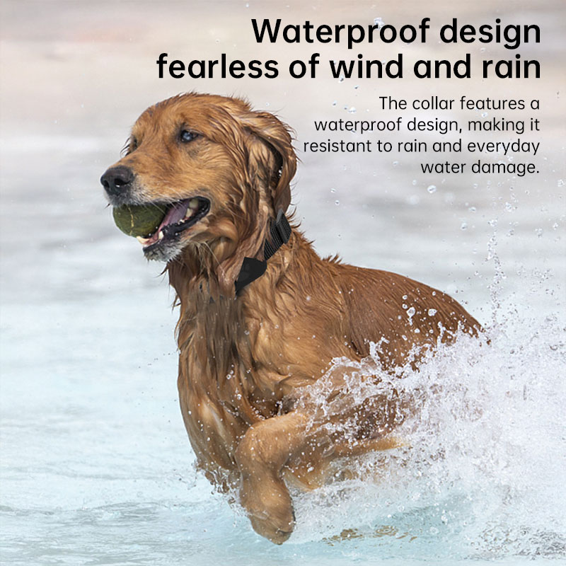 Real-Time GPS Pet Tracker: Long-Range Waterproof Collar with Activity Alert, Anti-Loss Finder Compatible with Apple Find My — image 10
