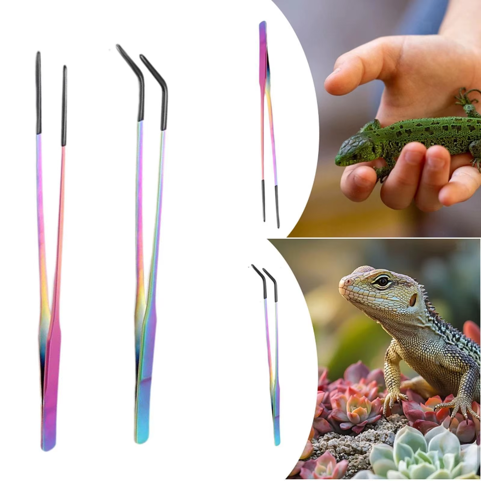 Reptile Feeding Tongs Rust Resistant Lizard Feeding Tweezers Bearded Dragon Feeder Stainless Terrarium Feeding Tool For — image 3