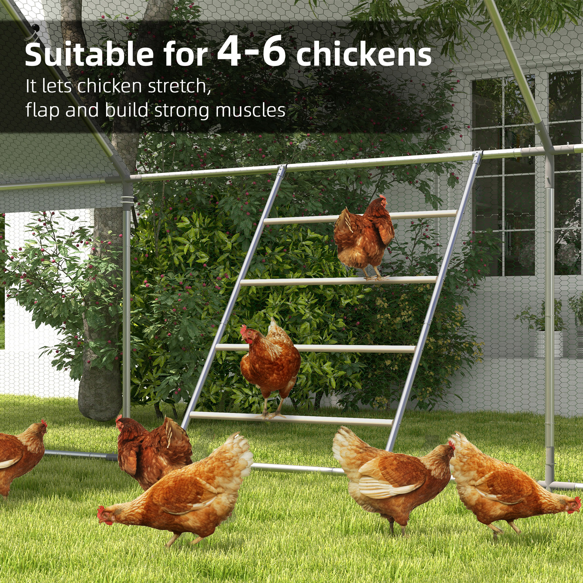 Palo de Descanso para Gallinas, Escalera de Percha de Jungle Gym, 55" x 33.75" — imagen 3