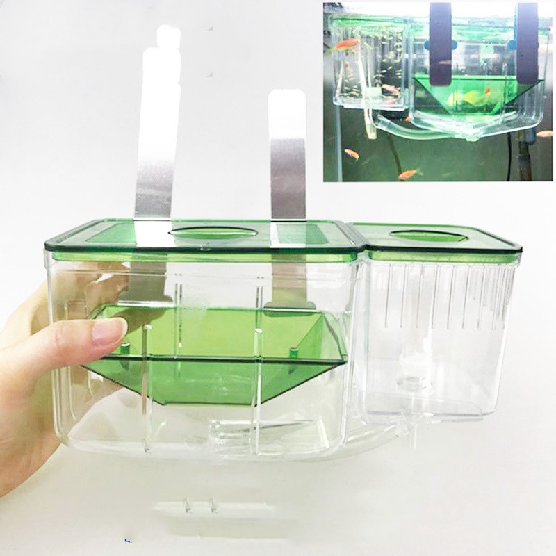 Caja de incubación para peces guppies enfermos o separados por lucha — imagen 4