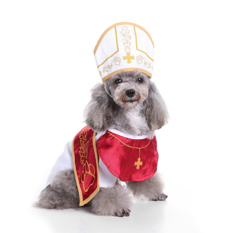 Dog Halloween costume with funny costumes — image 8