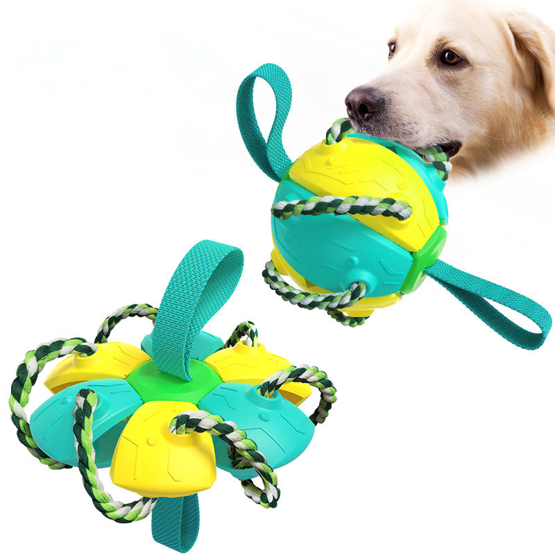 Pet Supplies Throwing Frisbee Outdoor Training Interactive Frisbee Football Dog Toy — image 3