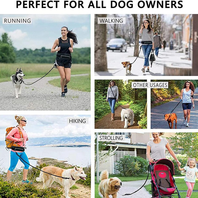 Cinturón Inalámbrico para Perros - Cinturón de Adiestramiento con Correa Elástica Absorbente para Perros Grandes hasta 82 kg, Bolsillo de Teléfono y Botella de Agua — imagen 2