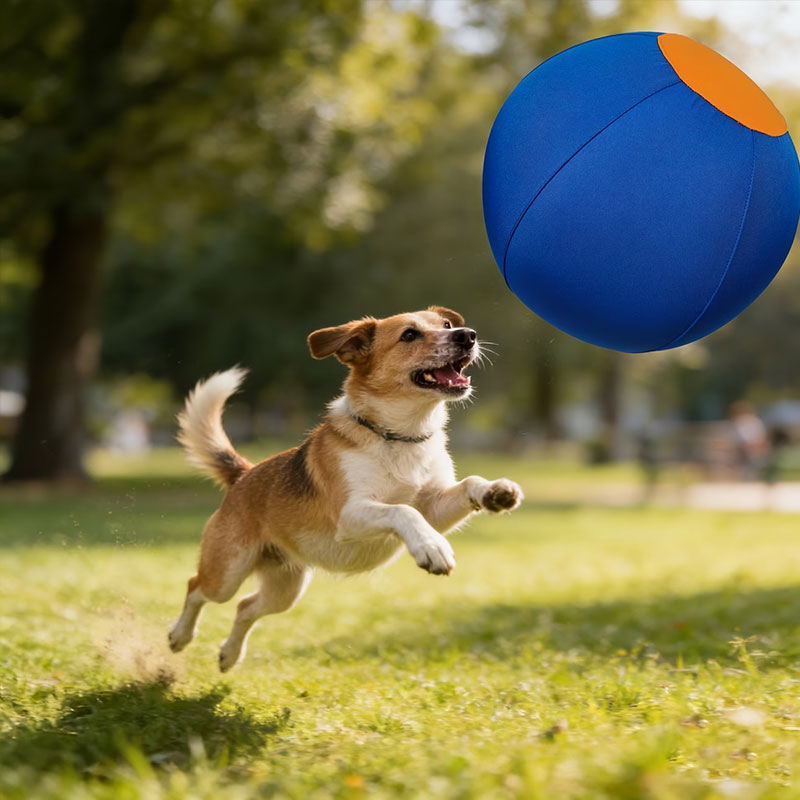 Pelota de Juguete Indestructible para Perros, Juguetes Flotantes Portátiles para Cazar y Jugar al Fútbol en Agua — imagen 5