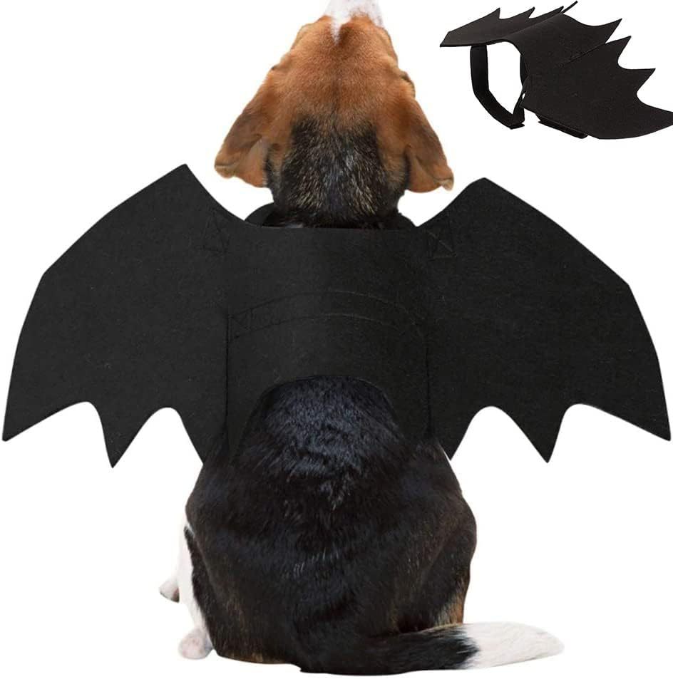 Halloween pet prop bat wings — image 8