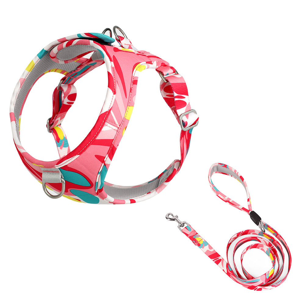 Printed Pet Chest Strap Anti-Breakaway Dog Leash Small And Medium-Sized Dogs Traction Rope — image 4