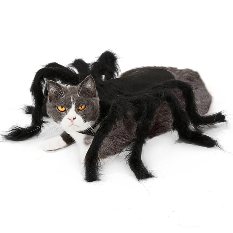 Ropa de Araña para Mascotas: Disfraz de Halloween para Perros y Gatos con Pelo Largo Negro — imagen 3