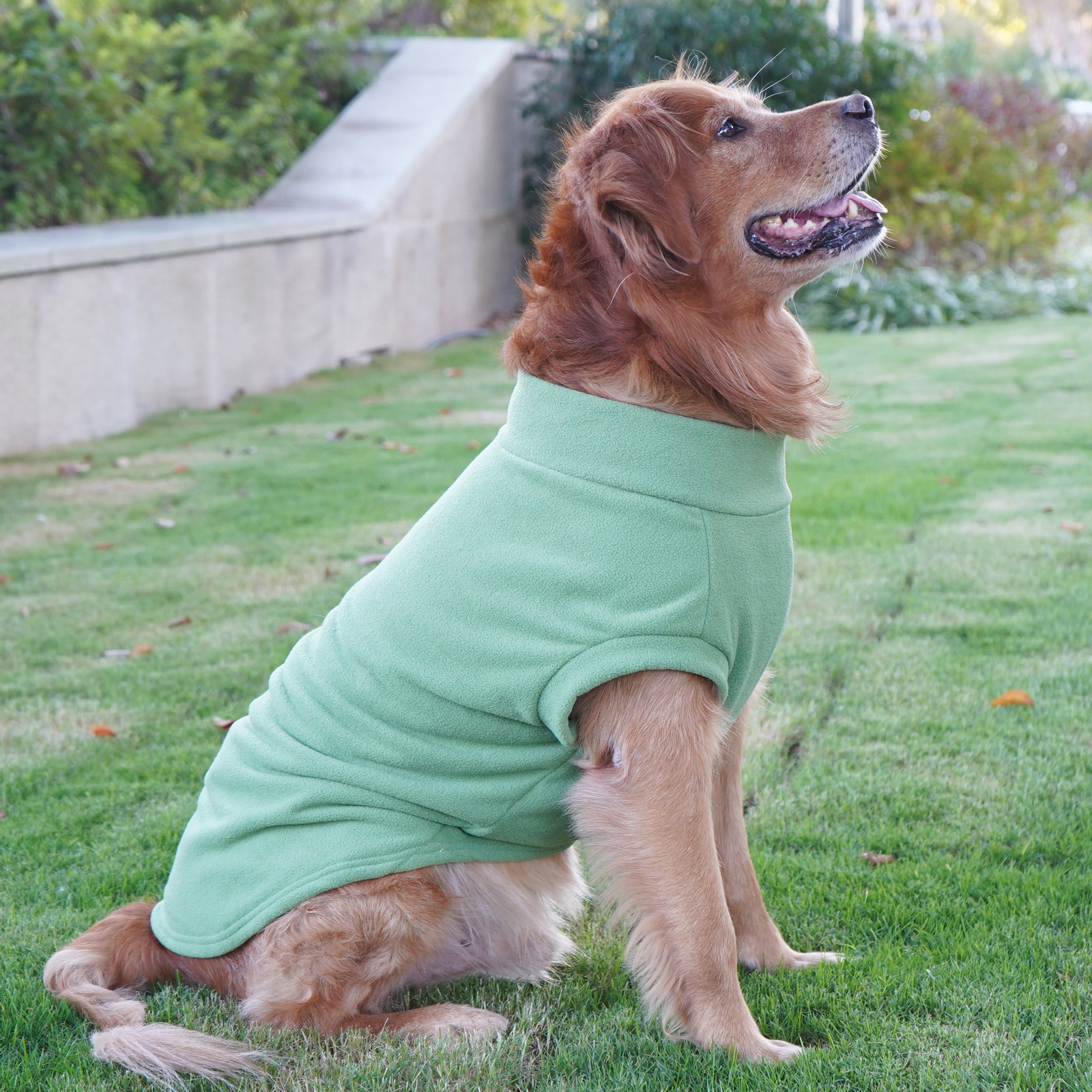 Ropa de Perro Labrador y Golden Retriever para Gran Raza, Vestimenta Caliente para Invierno — imagen 5