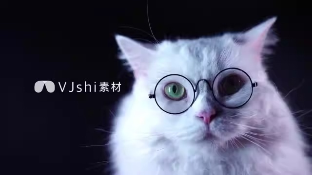 Disfraz de manto para mascotas, decoración de Halloween — imagen 16