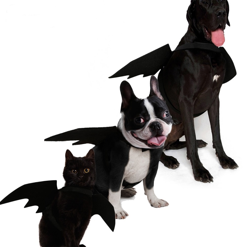 Disfraz de Murciélago para Perros - Ropa de Halloween para Mascotas — imagen 3