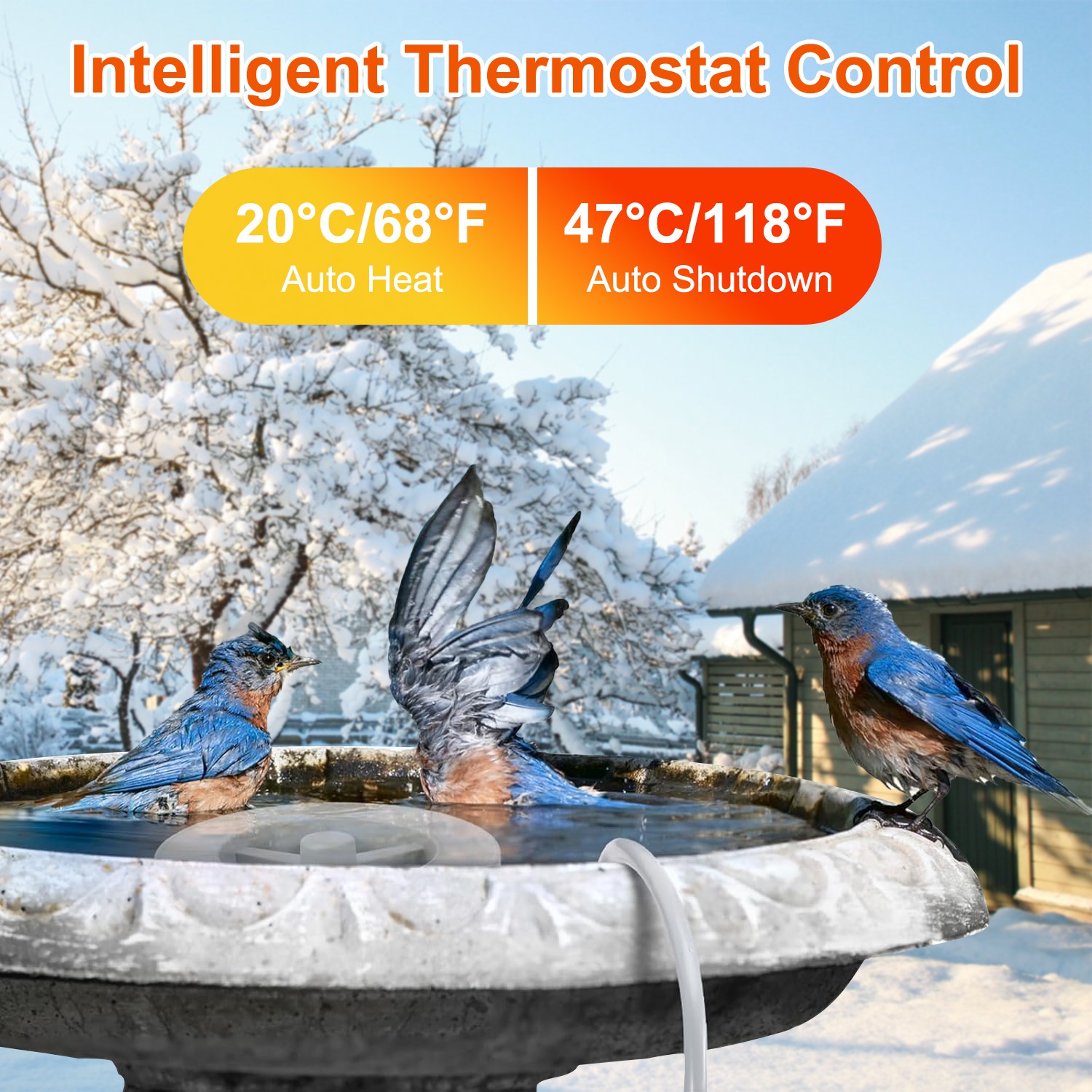 Calentador de Baño de Aves 70W para Exterior Invierno: Caliente el Agua para Aves con Termostato Automático y Cierre Seguro — imagen 7