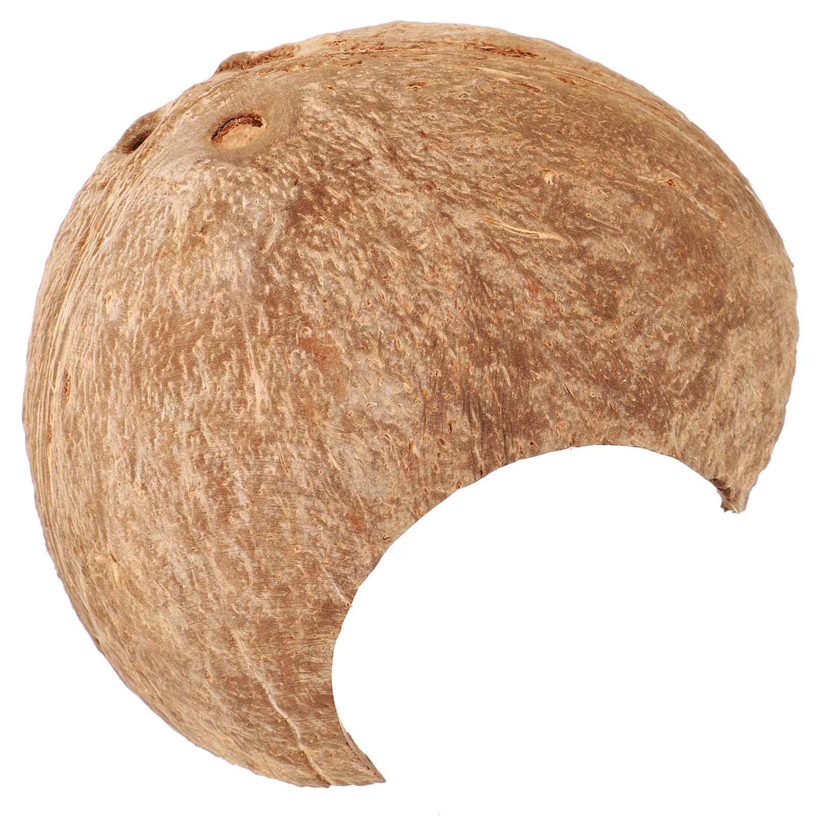 Coconut Shell Hideout For Reptiles Natural Pet Cave Shelter Habitat Decor Leopard Gecko Humid Hide Snake Tarantula Hermit Crab — imagen 5