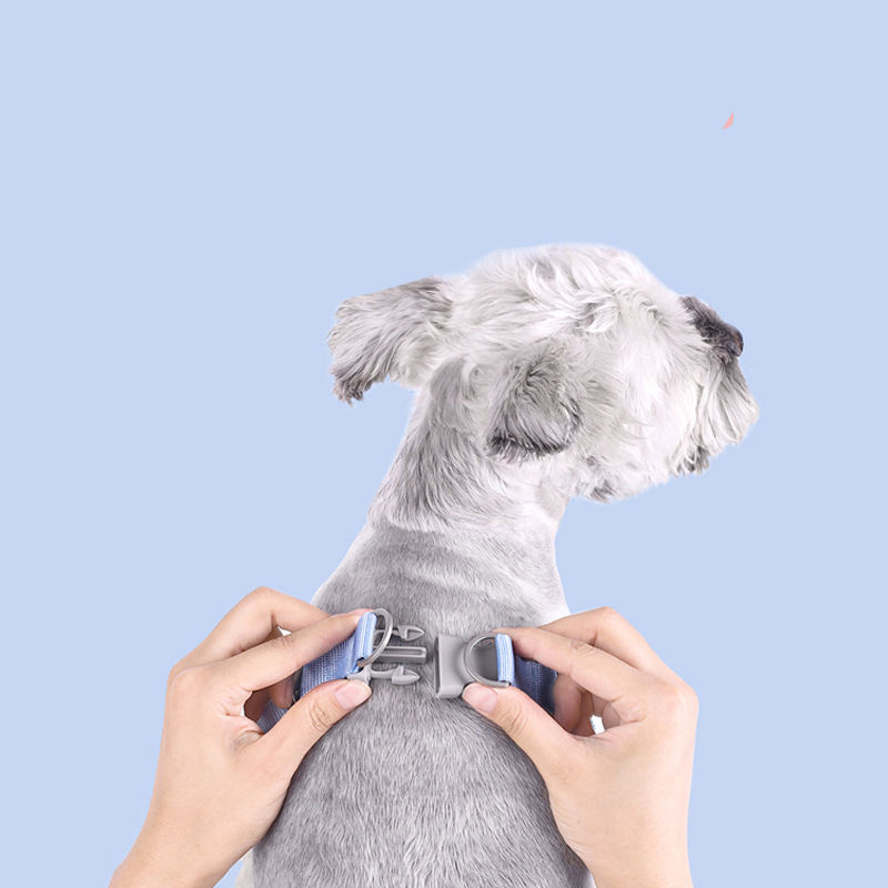 Pet Chest Strap New Macaron Fresh Summer Vest-Style Dog Leash Pet Supplies — image 3