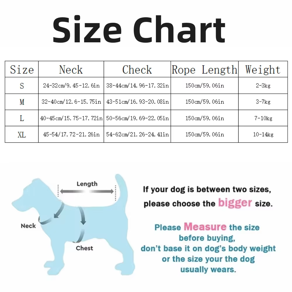 Conjunto de Arneso para Perros con Lazo de 1,5 m - Arneso Ajustable para Cachorros, Gatos, Bull Terrier y Pequeños Caninos para Paseos al Aire Libre — imagen 6
