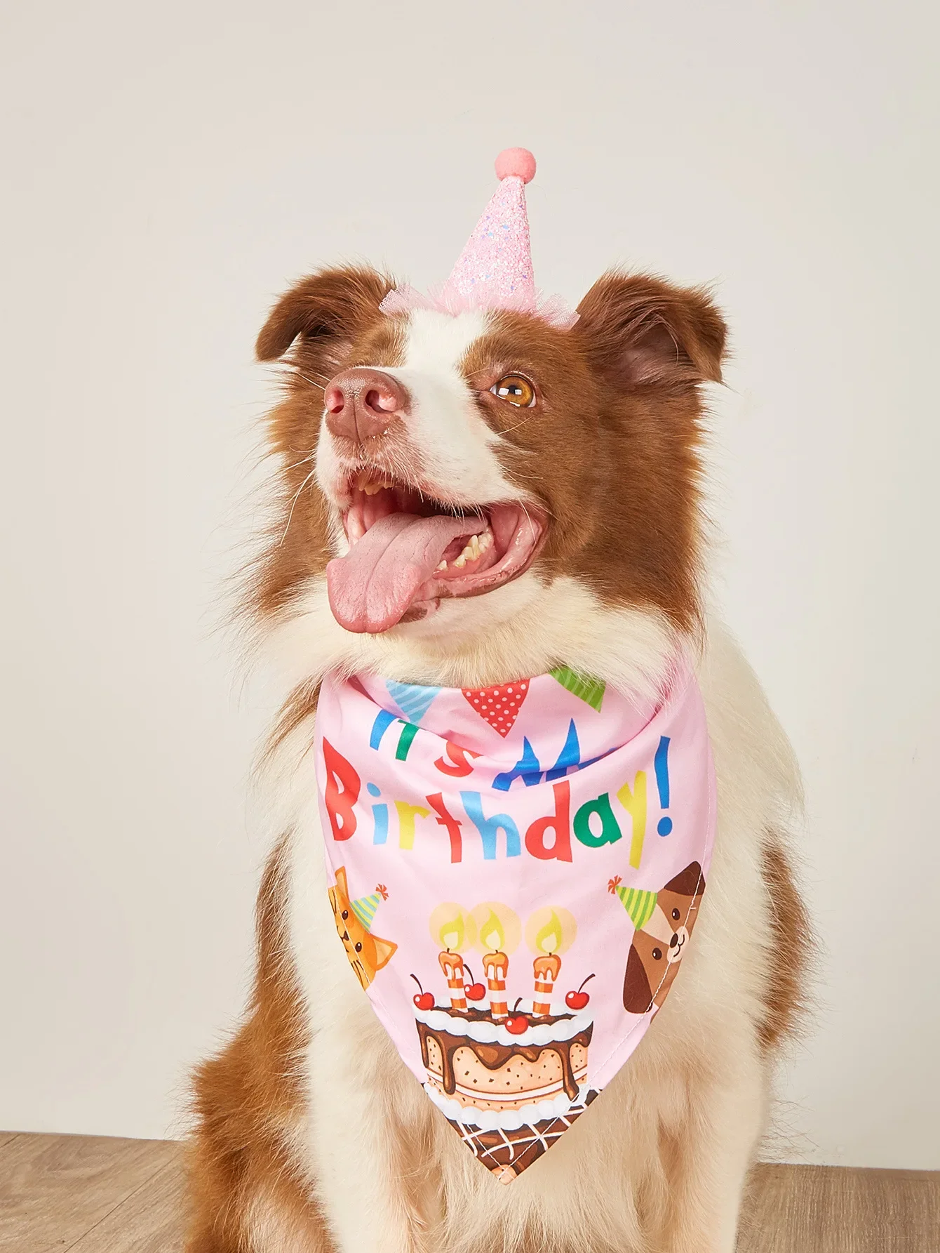 Decoración de Cumpleaños para Perros - Sombreros con Nudo y Bandanas — imagen 2
